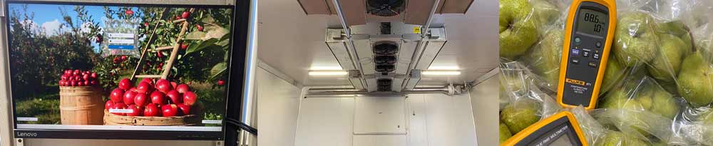 Fruit and Veg Coolroom Servicing